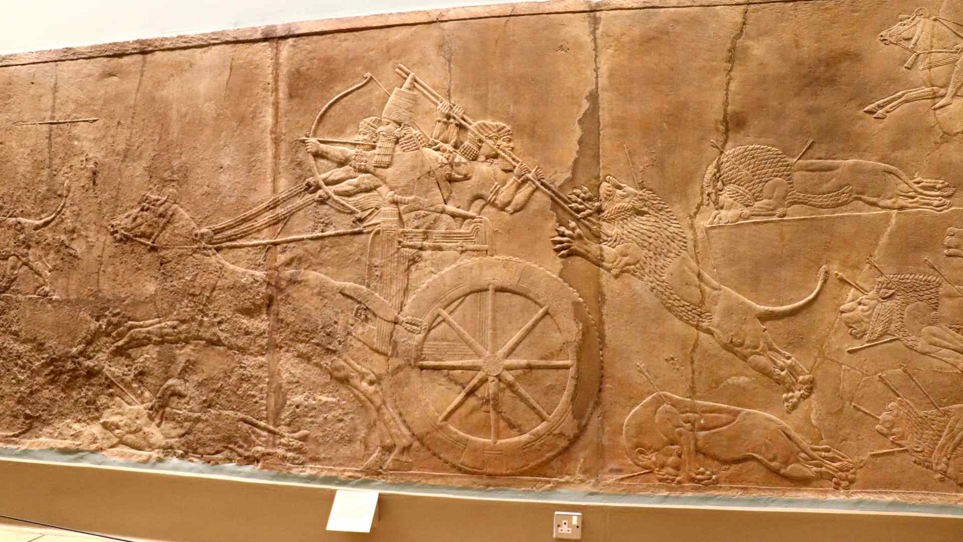 Chasse au lion, chars et archers - Palais de Ninive - British Museum - Photo P. Vauclair