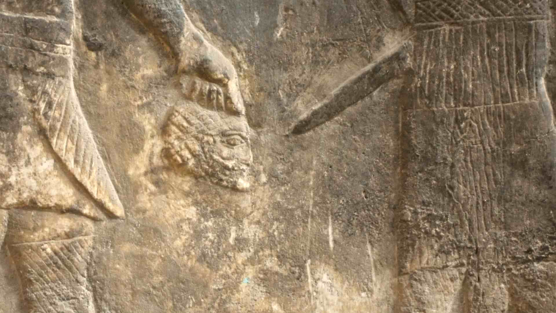 Détail d'une tête coupée - Palais de Ninive - British Museum - Photo P. Vauclair