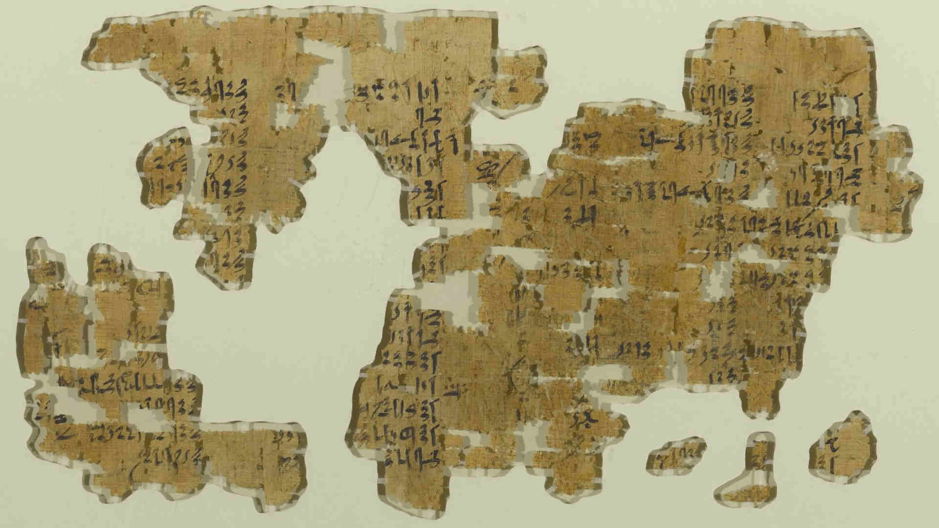 Papyrus 35-1446 - Thèbes - 12ème / 13ème dynastie
